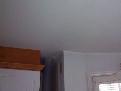 Vis 1