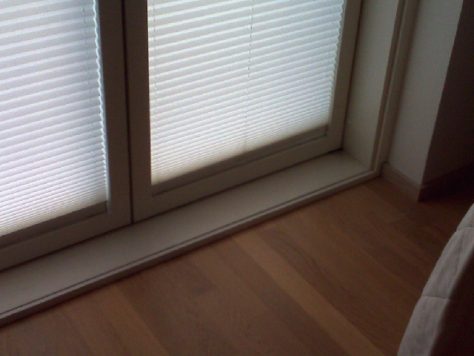 Vis 55